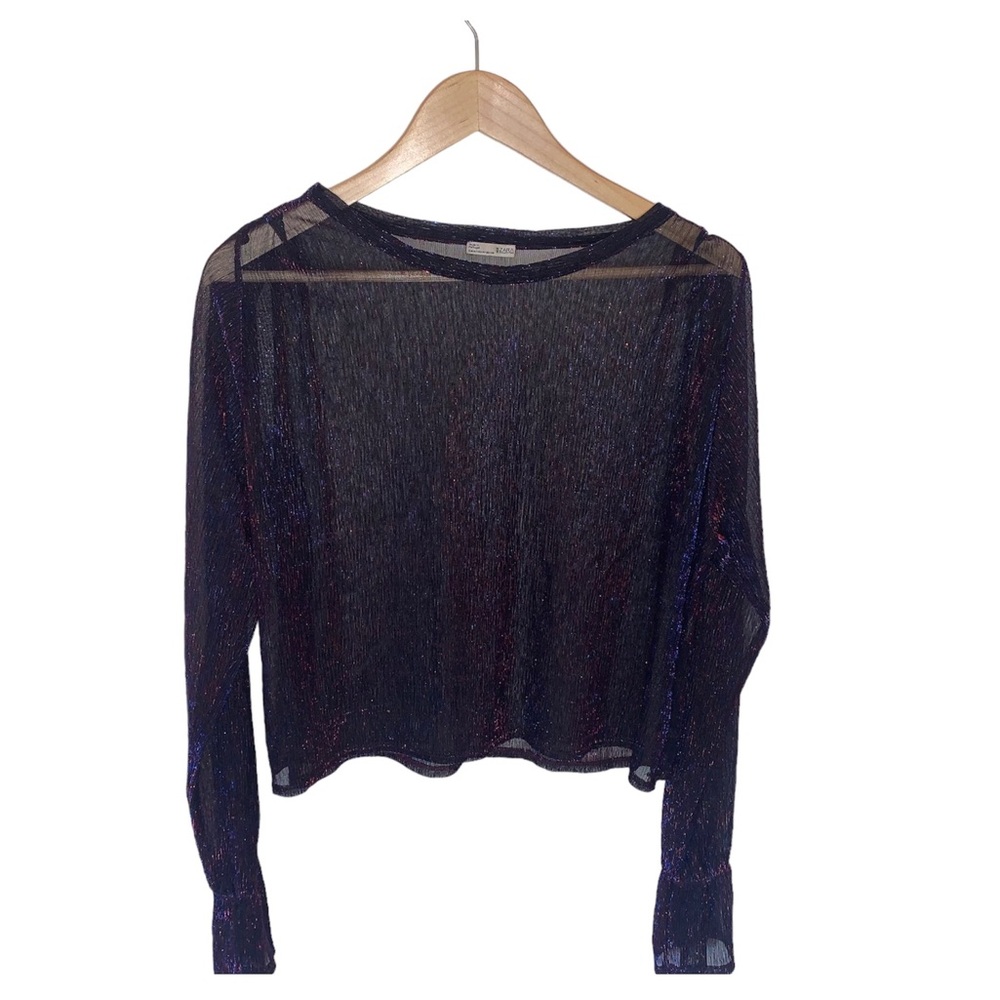 Zara Women's Medium sheer Glitter Top